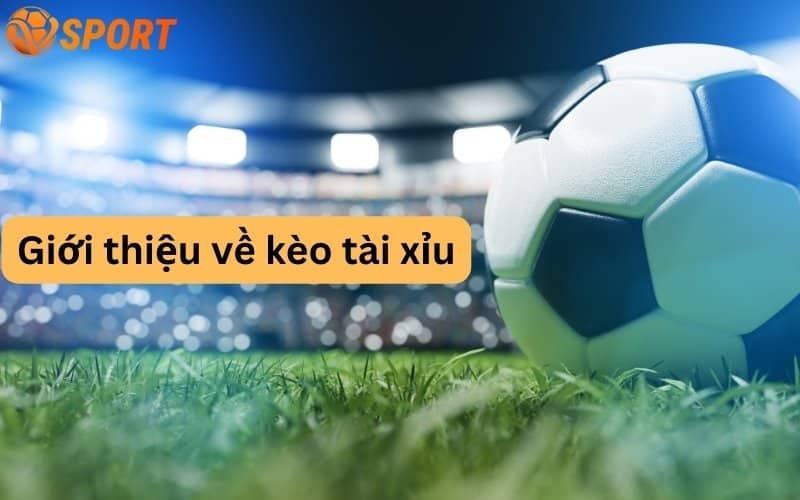 tìm hiểu về kèo tài xỉu Vsport